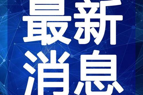 舞帝最新录音爆料视频大全,独家爆料视频大全深度解析