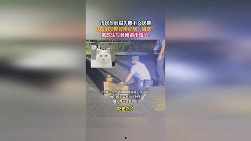 在警察局吃瓜成团宠免费,吃瓜成团宠的欢乐日常