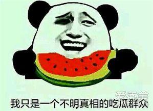 吃瓜群众免费吃,全民狂欢！揭秘吃瓜群众福利盛宴  第3张