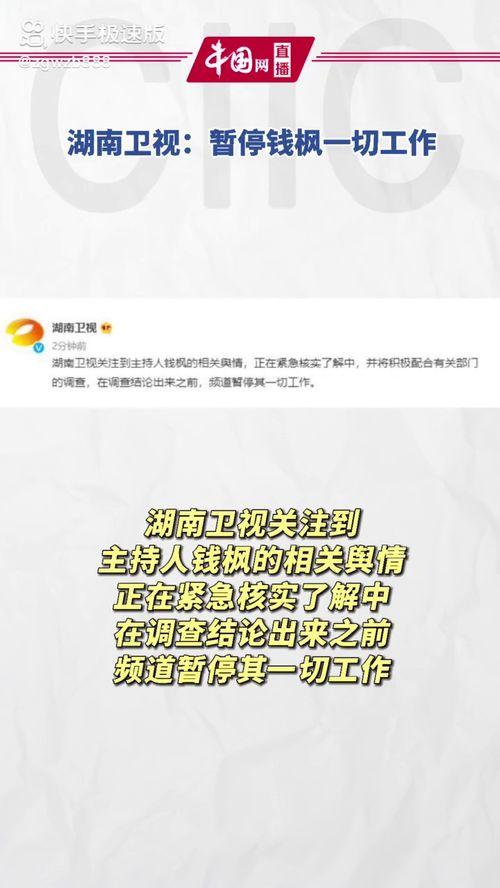 娱乐圈吃瓜词汇,揭秘明星幕后风云  第2张